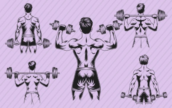 Download Gym Fitness Vector Illustration Graphics - Gym Collection